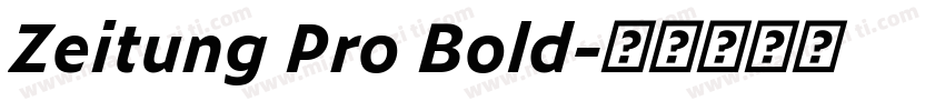 Zeitung Pro Bold字体转换